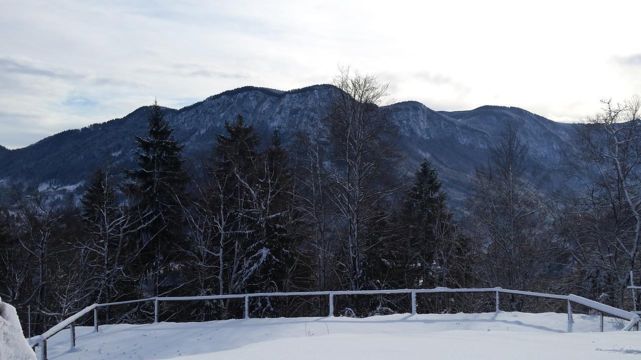 Vaznik Farm House Apartments Bled Exterior foto